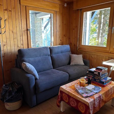 Chalet Edelweiss A Saint-Martin, Val D'Herens Exterior foto